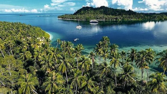 6 Fakta Menarik Kepulauan Mentawai, Pemilik Tato Tertua di Dunia dan Surga  Peselancar - Lifestyle Liputan6.com